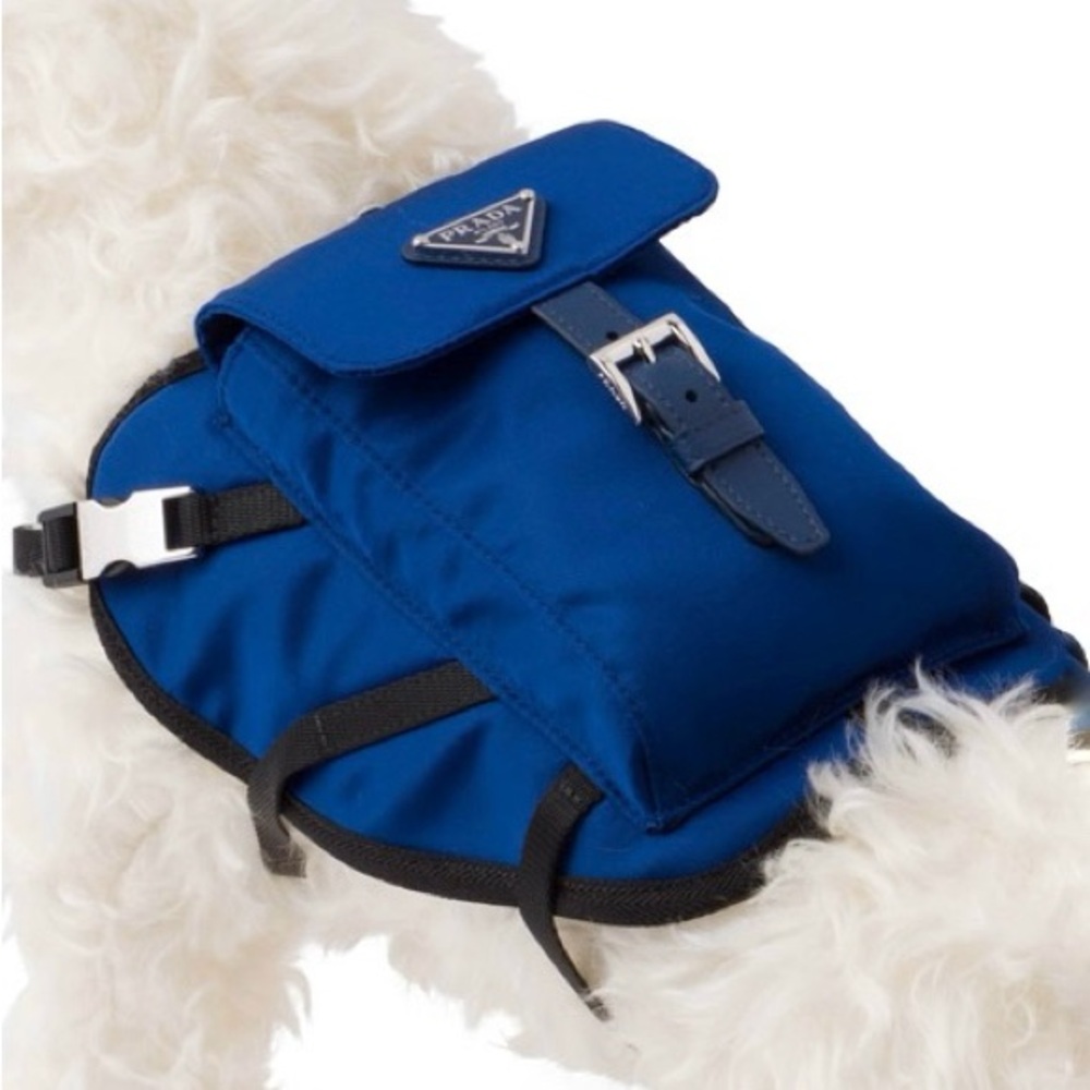 Authentic Prada Dog Harness